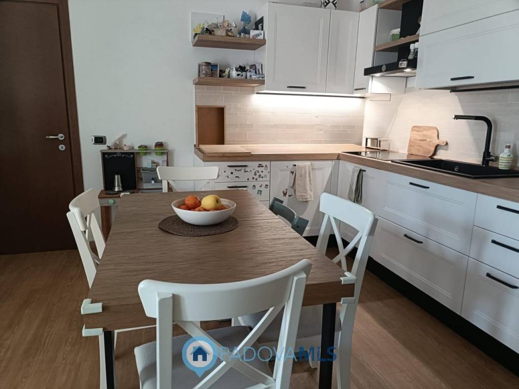 appartamento in vendita ad Albignasego in zona Lion