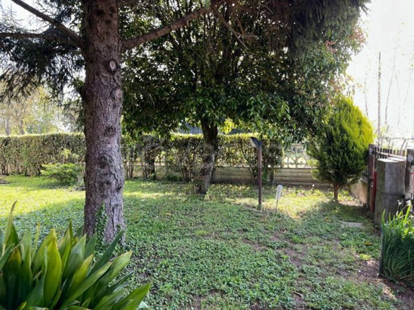 casa indipendente in vendita ad Albignasego
