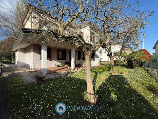 casa indipendente in vendita ad Albignasego in zona Lion
