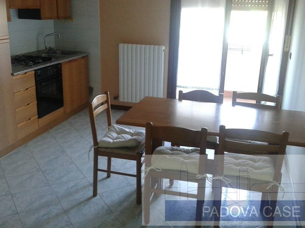 appartamento in vendita ad Albignasego