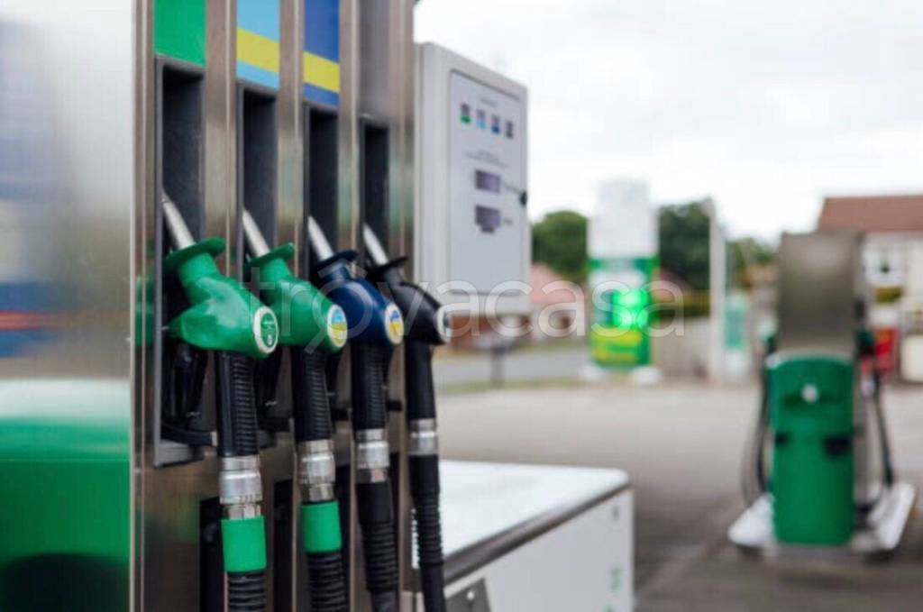 negozio in vendita ad Albignasego in zona Lion