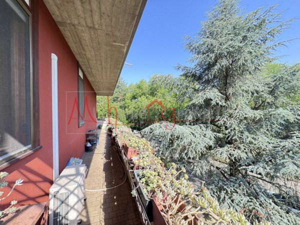 appartamento in vendita ad Albignasego in zona Mandriola