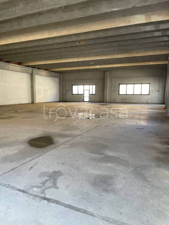 locale commerciale in vendita ad Albignasego