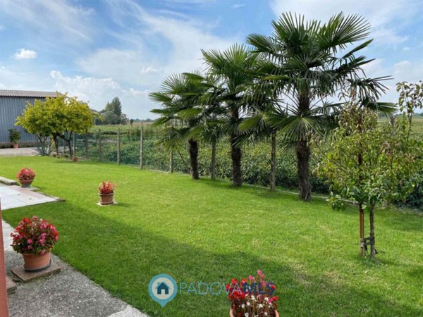 casa indipendente in vendita ad Anguillara Veneta
