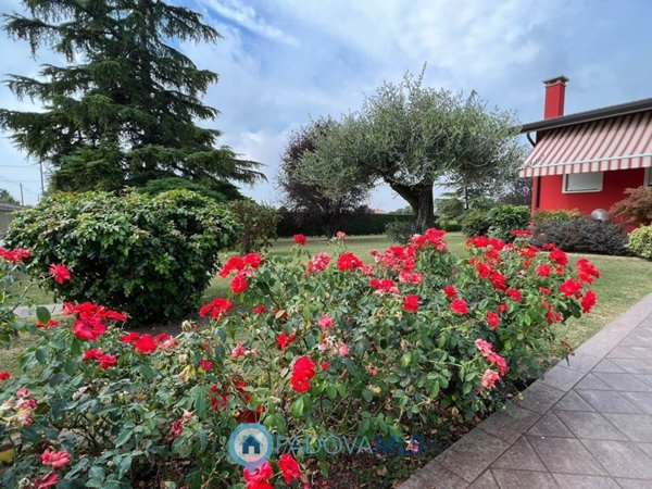 casa indipendente in vendita ad Anguillara Veneta