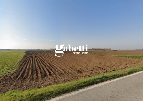 terreno agricolo in vendita ad Anguillara Veneta