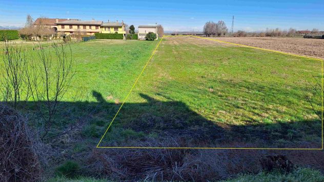 terreno agricolo in vendita ad Anguillara Veneta
