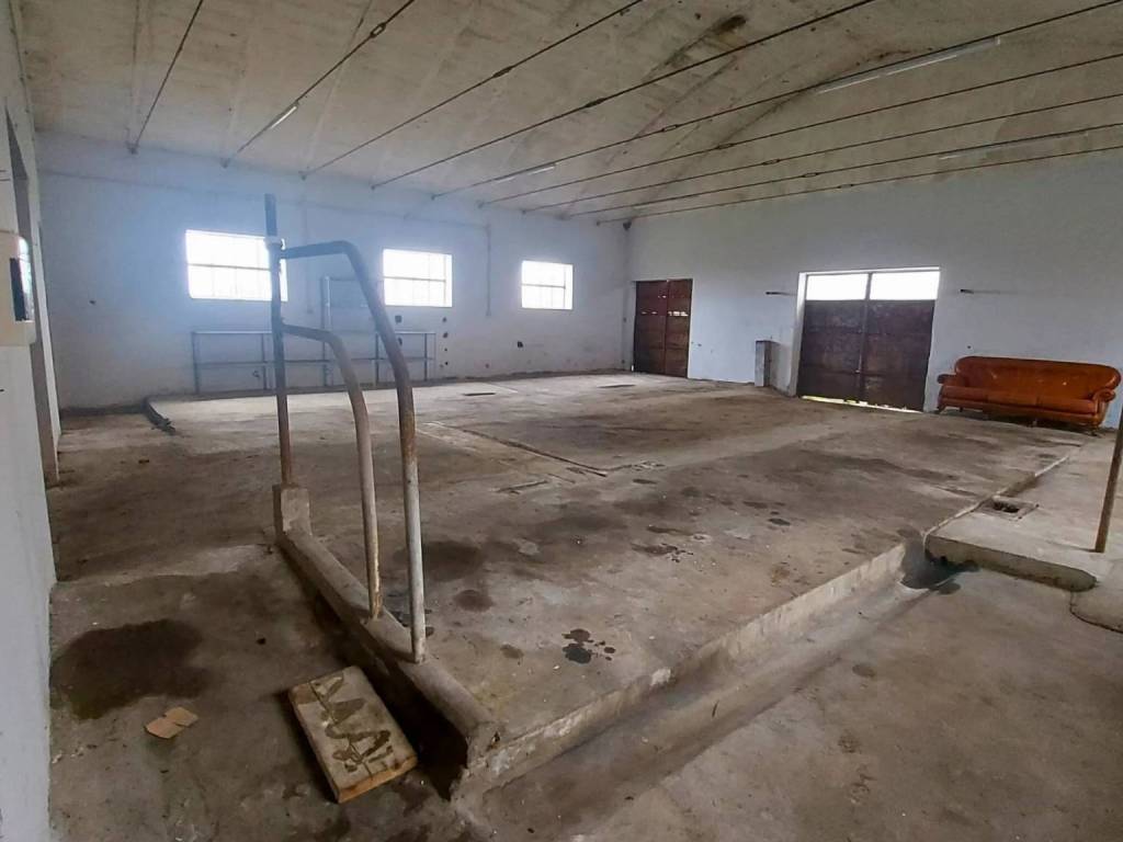 locale commerciale in vendita ad Anguillara Veneta in zona Borgoforte