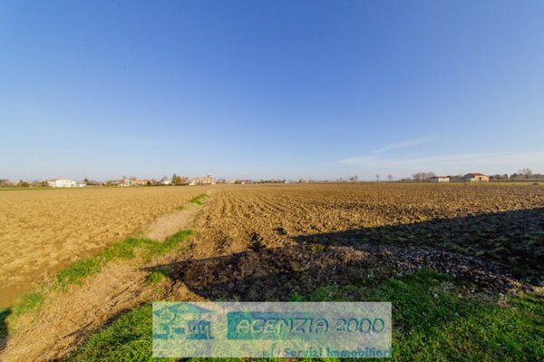 terreno edificabile in vendita ad Anguillara Veneta in zona Taglio