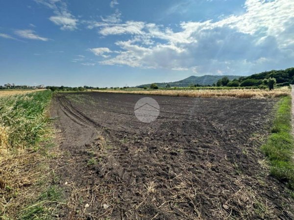 terreno agricolo in vendita ad Arquà Petrarca