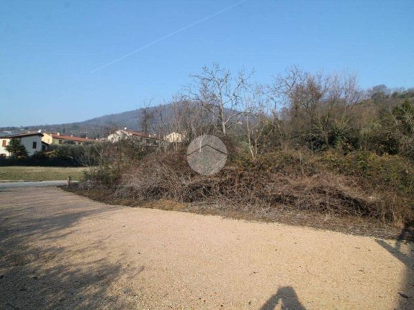 immagine annuncio 0 di 5