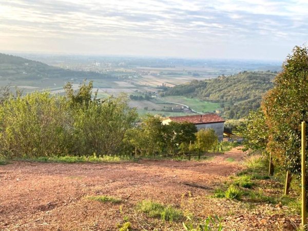 casa indipendente in vendita ad Arquà Petrarca