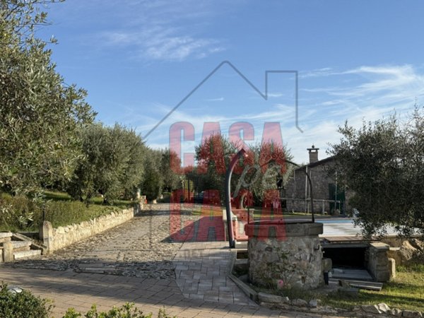 casa indipendente in vendita ad Arquà Petrarca