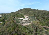casa indipendente in vendita ad Arquà Petrarca