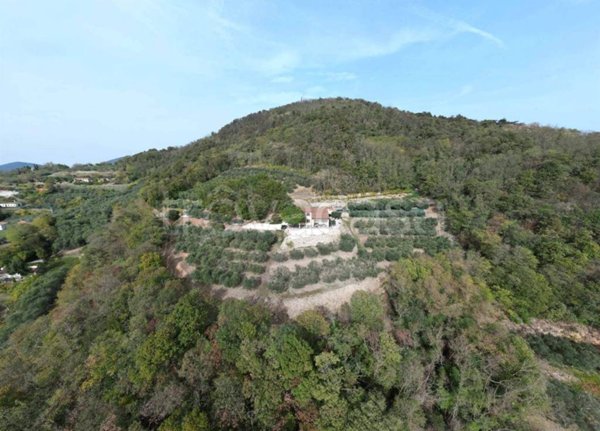 casa indipendente in vendita ad Arquà Petrarca