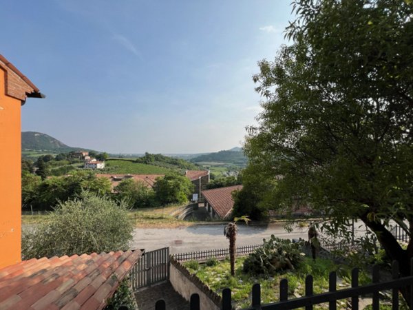 casa indipendente in vendita ad Arquà Petrarca