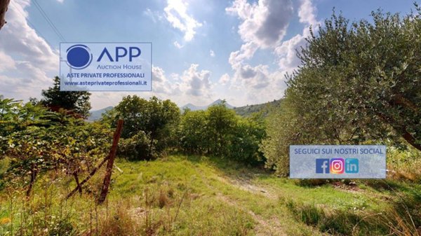 terreno agricolo in vendita ad Arquà Petrarca