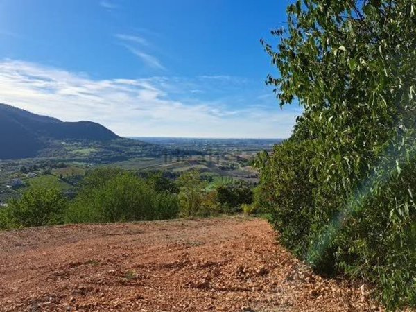 casa indipendente in vendita ad Arquà Petrarca