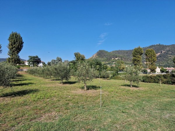 casa indipendente in vendita ad Arquà Petrarca