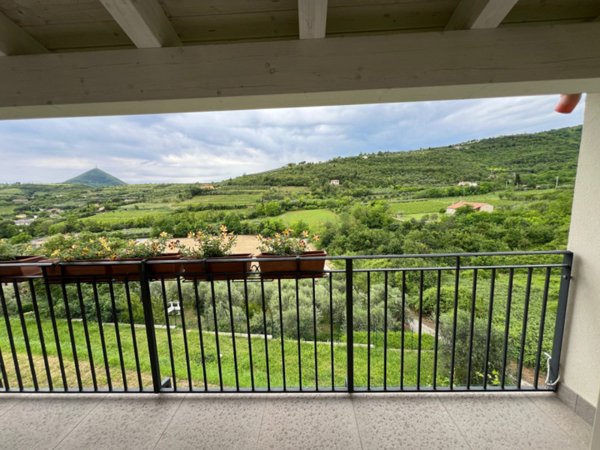 casa indipendente in vendita ad Arquà Petrarca