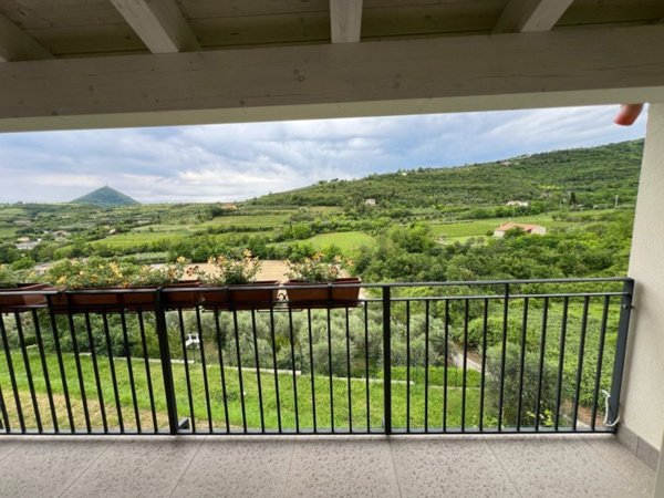 casa indipendente in vendita ad Arquà Petrarca