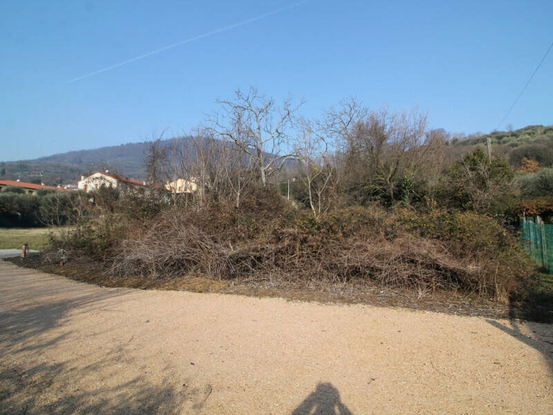 terreno agricolo in vendita ad Arquà Petrarca