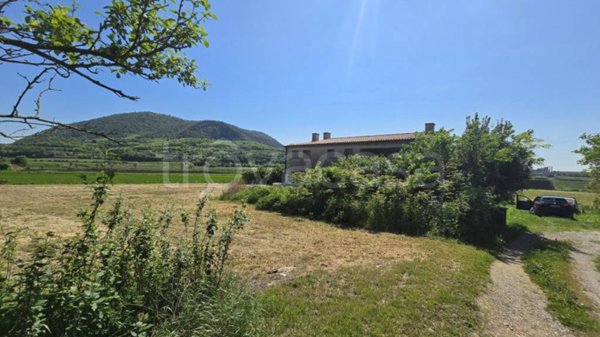 quadrivano in vendita ad Arquà Petrarca