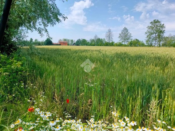 terreno agricolo in vendita ad Arzergrande in zona Vallonga