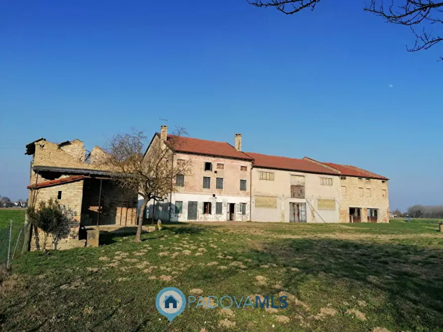 casa indipendente in vendita ad Arzergrande