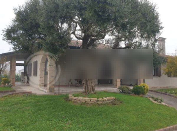 casa indipendente in vendita ad Arzergrande