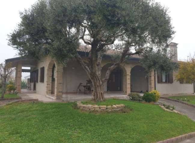 casa indipendente in vendita ad Arzergrande
