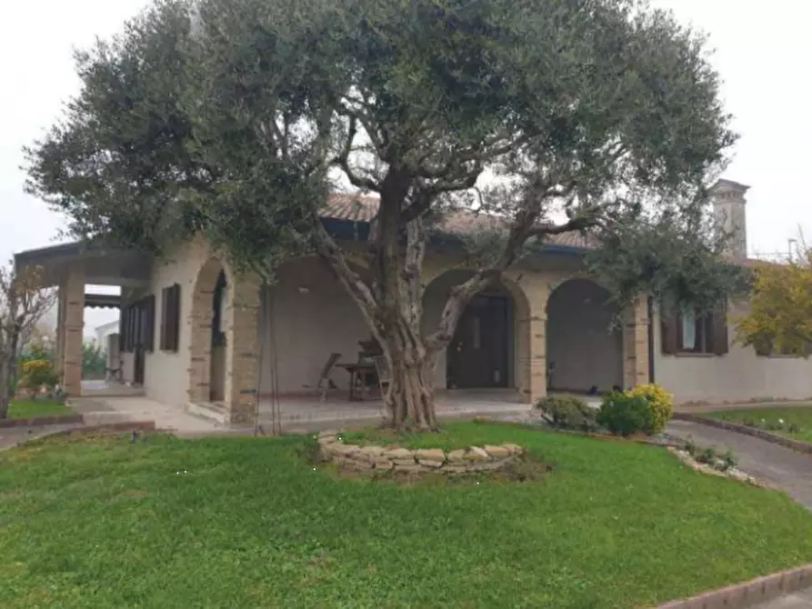 casa indipendente in vendita ad Arzergrande