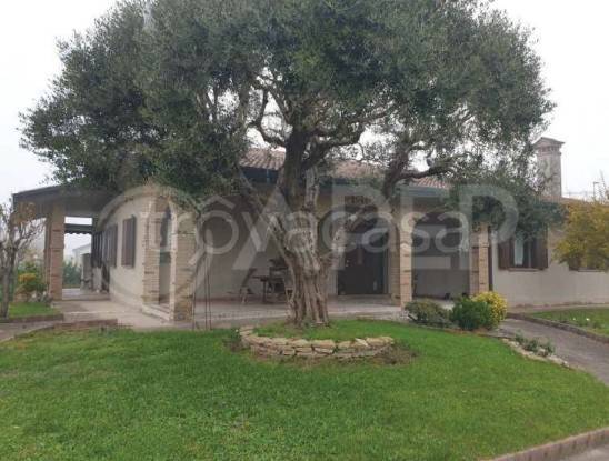 casa indipendente in vendita ad Arzergrande