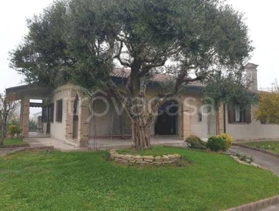 casa indipendente in vendita ad Arzergrande