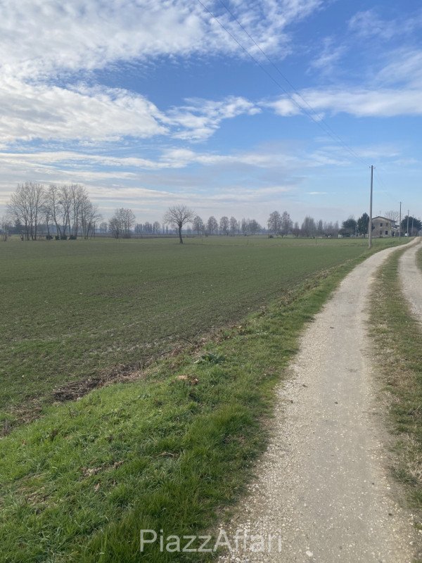 terreno agricolo in vendita ad Arzergrande in zona Vallonga