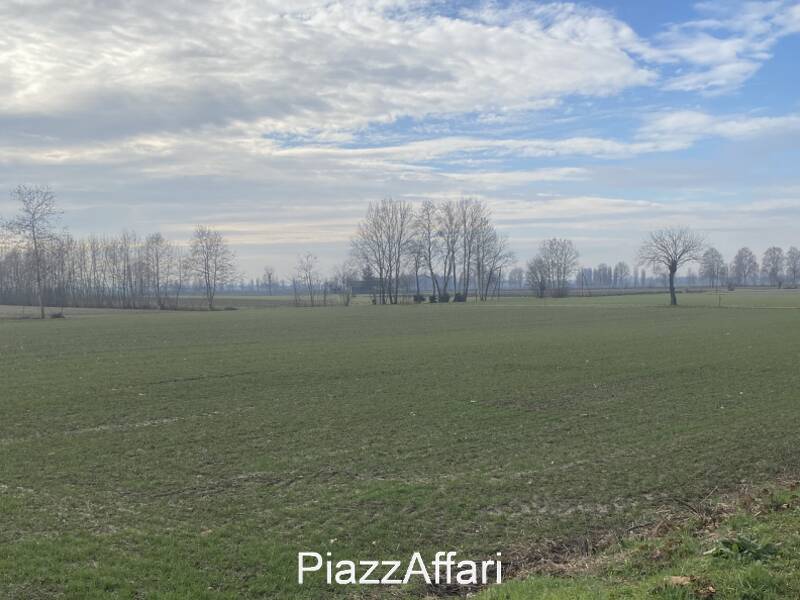 terreno agricolo in vendita ad Arzergrande in zona Vallonga