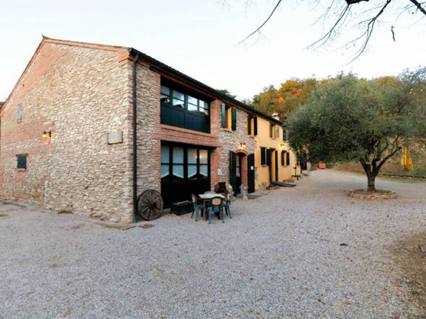 negozio in vendita a Baone