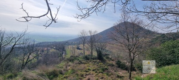 casa indipendente in vendita a Baone in zona Calaone