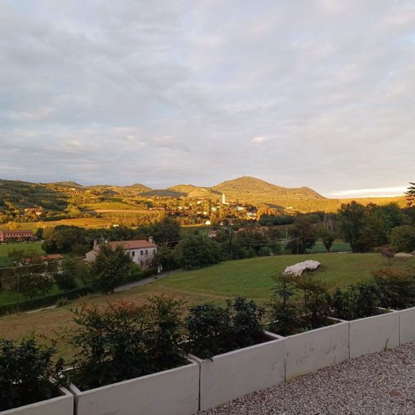 appartamento in vendita a Baone