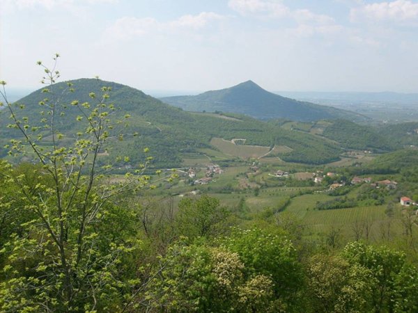 negozio in vendita a Baone