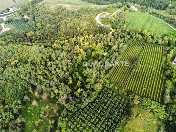 appartamento in vendita a Baone