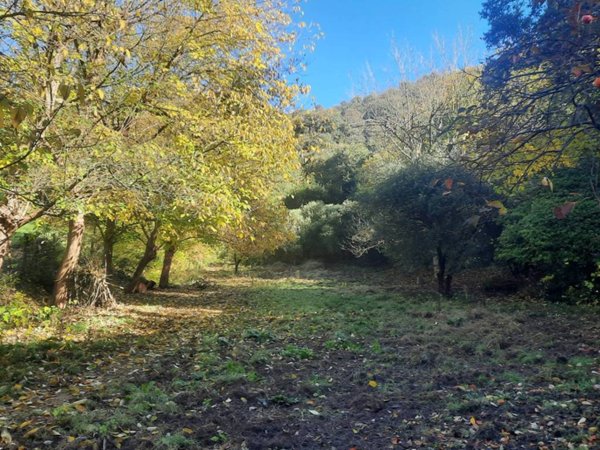casa indipendente in vendita a Baone