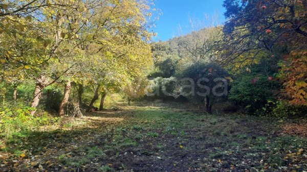 quadrivano in vendita a Baone