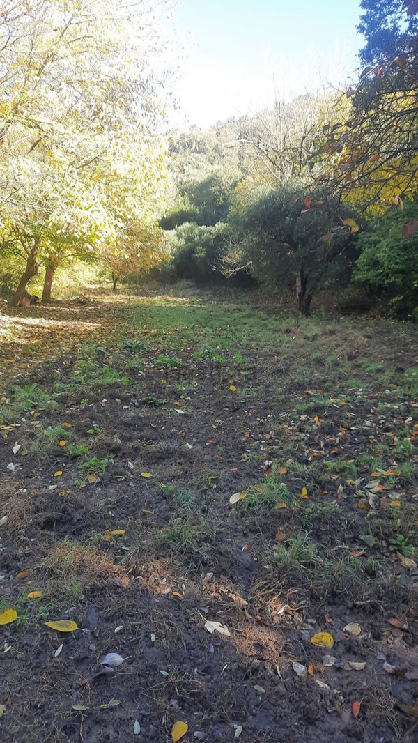 appartamento in vendita a Baone