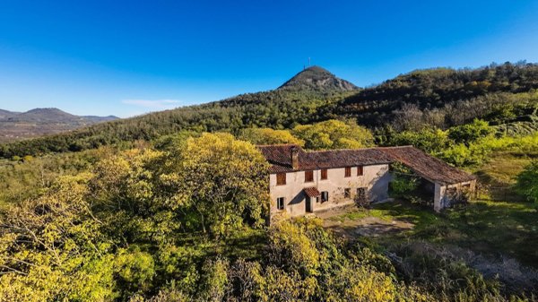 esavano in vendita a Baone in zona Calaone