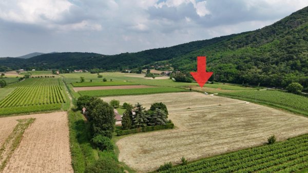 casa indipendente in vendita a Baone in zona Valle San Giorgio
