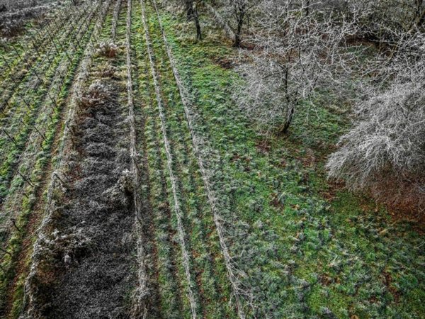 ufficio in vendita a Baone in zona Valle San Giorgio