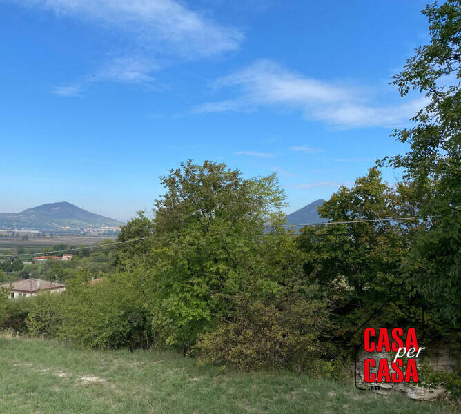 terreno agricolo in vendita a Baone