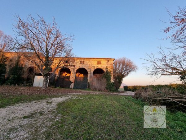 esavano in vendita a Baone