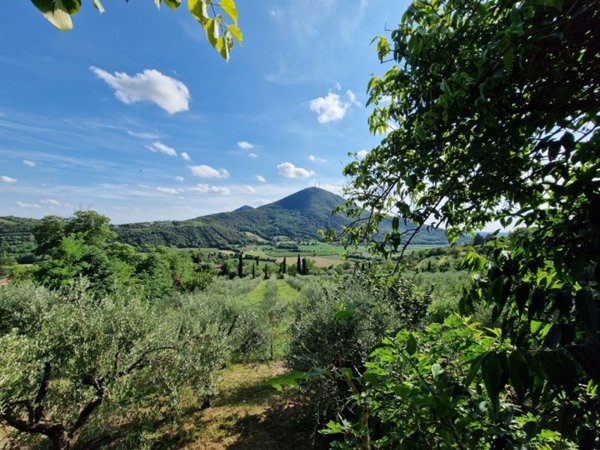 casa indipendente in vendita a Baone in zona Valle San Giorgio